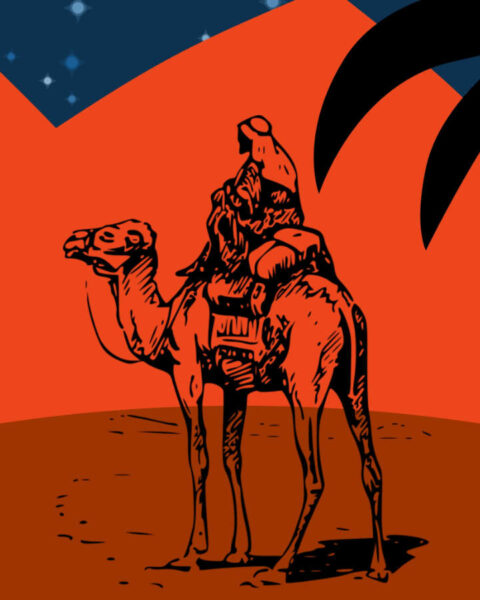 camel driver whisperer tamer in Sinai Egypt