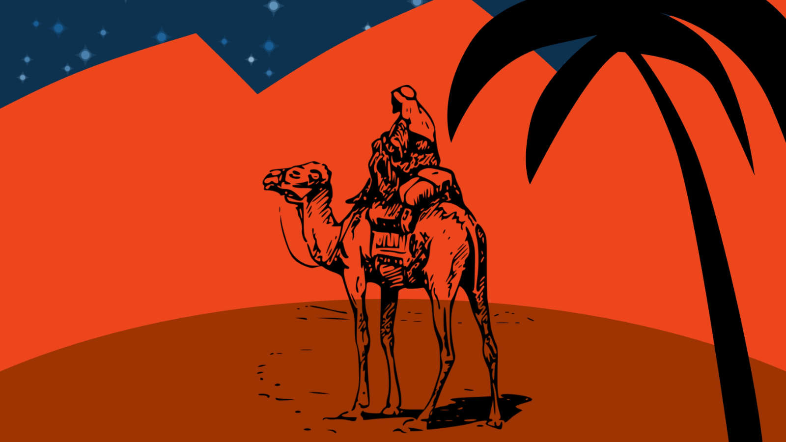 camel driver whisperer tamer in Sinai Egypt